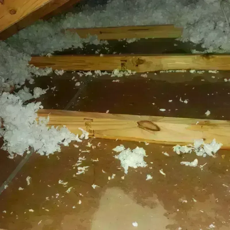 Attic Water Damage in Eleele, HI